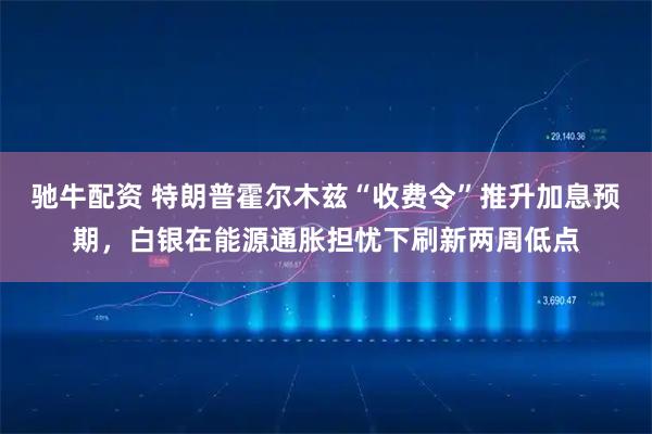 驰牛配资 特朗普霍尔木兹“收费令”推升加息预期，白银在能源通胀担忧下刷新两周低点