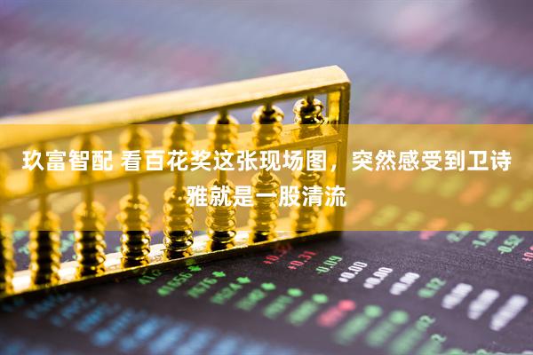 玖富智配 看百花奖这张现场图，突然感受到卫诗雅就是一股清流